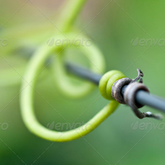 无限轰炸手机软件短信下载