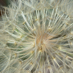 轰炸手机号软件