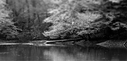 网络短信呼叫软件虚拟号码